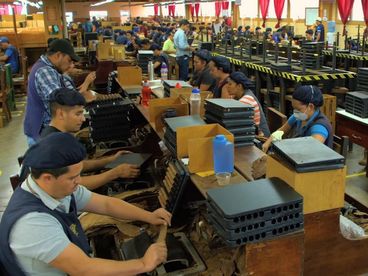 Выращивание табака и производство сигар в Гондурасе Выращивание табака и производство сигар в Гондурасе