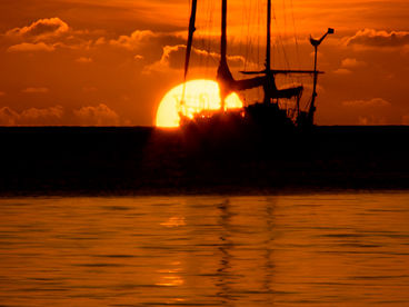 Тайные сокровища Тихого океана Тайные сокровища Тихого океана