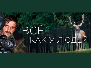 Всё как у людей