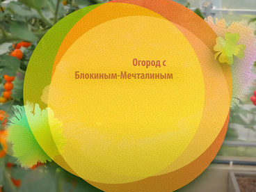 Огород с Блокиным-Мечталиным Огород с Блокиным-Мечталиным