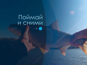 Поймай и сними Поймай и сними