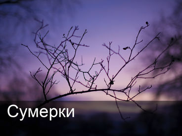 Сумерки Сумерки