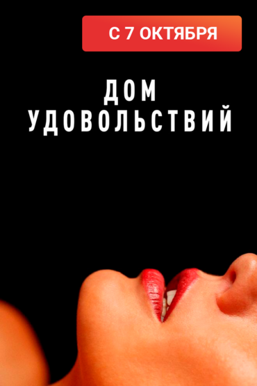 Дом удовольствий