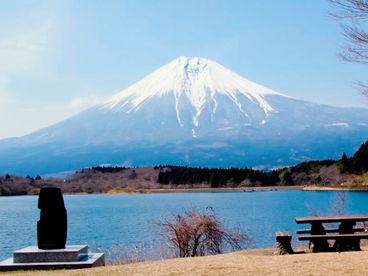 Вершина вкуса