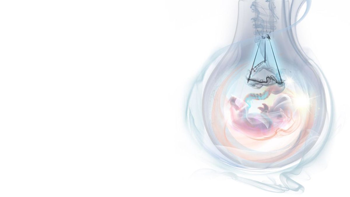 Natan - Новая жизнь