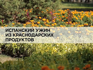 Испанский ужин из краснодарских продуктов Испанский ужин из краснодарских продуктов
