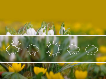 Погода Погода