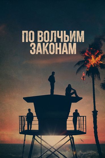 По волчьим законам