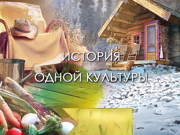 История одной культуры