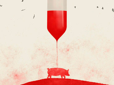 Конец медицины Конец медицины