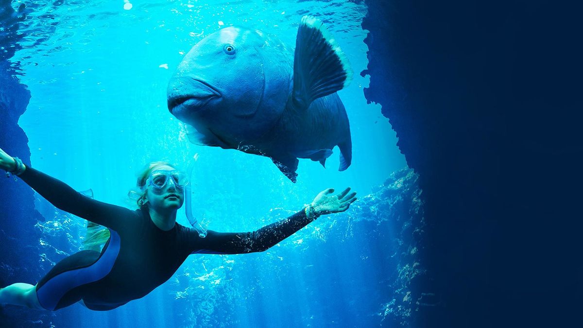 Друг в океане