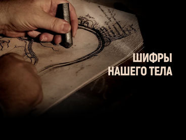 Шифры нашего тела Шифры нашего тела