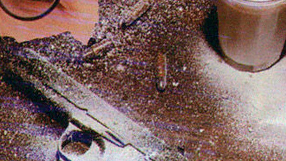 Бумажные глаза Пришвина