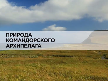 Природа Командорского архипелага