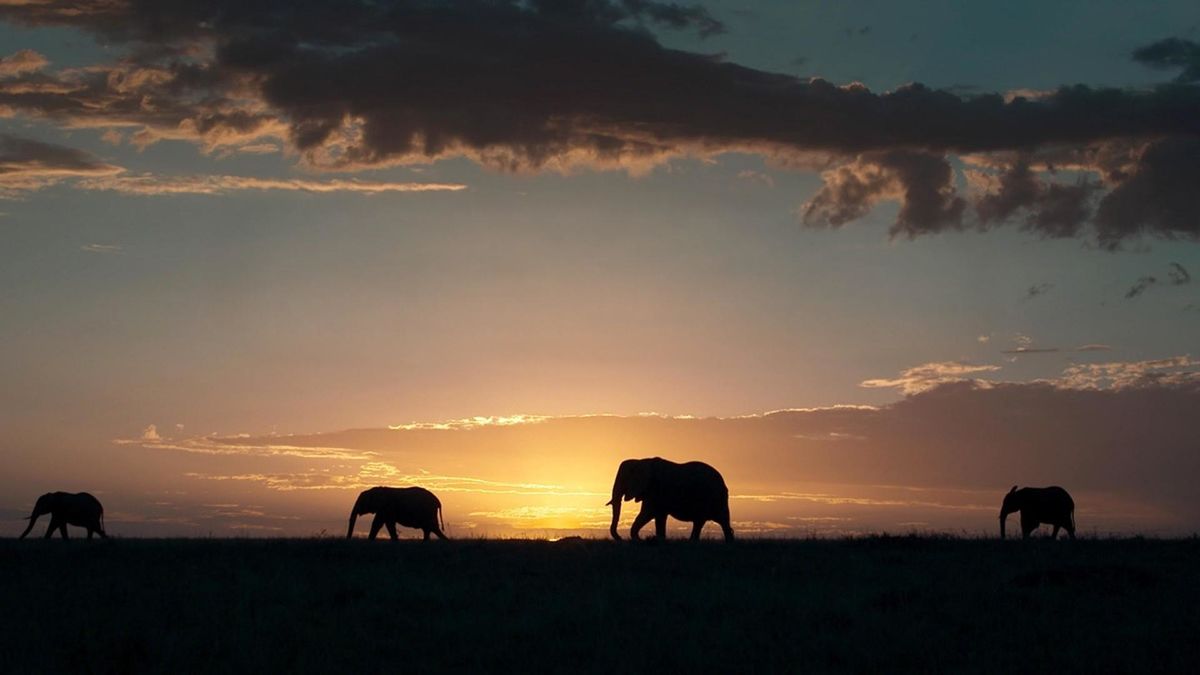 Природные семейные узы
