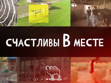 Счастливы в месте Счастливы в месте