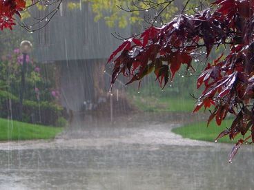 Дождь Дождь