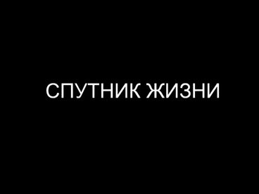 Спутник жизни Спутник жизни
