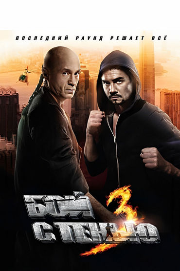 Бой с тенью 3: Последний раунд