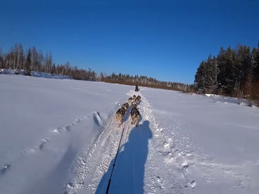 Перевал Дятлова. Экспедиция на собачьих упряжках Перевал Дятлова. Экспедиция на собачьих упряжках