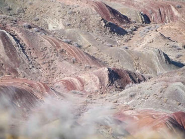 Урочище Босжира