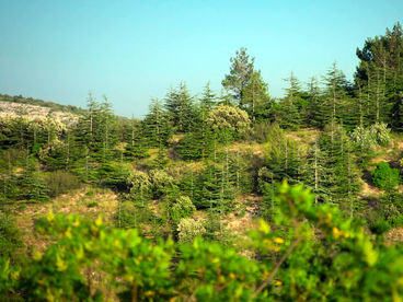 Коммуна Банон во Франции Коммуна Банон во Франции