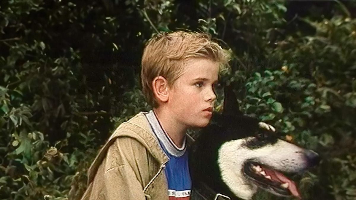 Маленький боец