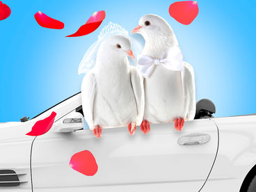 Четыре свадьбы