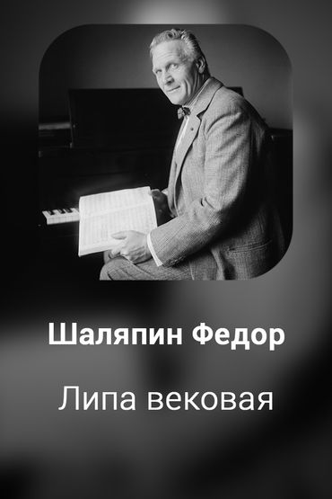 Липа вековая