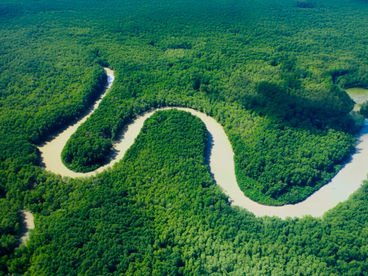 Сады чистой воды Сады чистой воды
