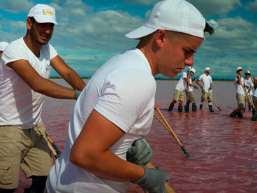Сокровища планеты - природные богатства Окситании Сокровища планеты - природные богатства Окситании