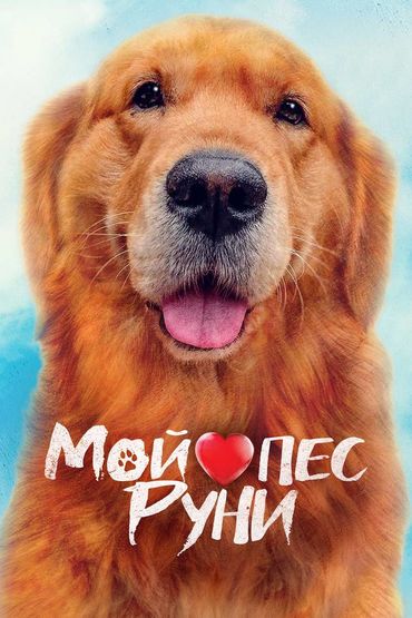 Мой пес Руни