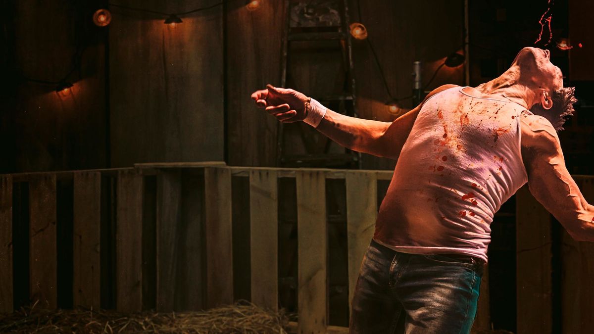 Бойцы на всю голову