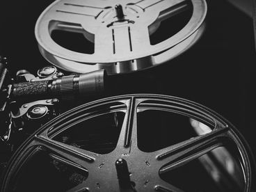 Гваделупа. Царство живой природы Гваделупа. Царство живой природы