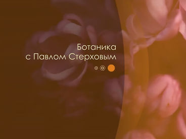 Ботаника с Павлом Стерховым