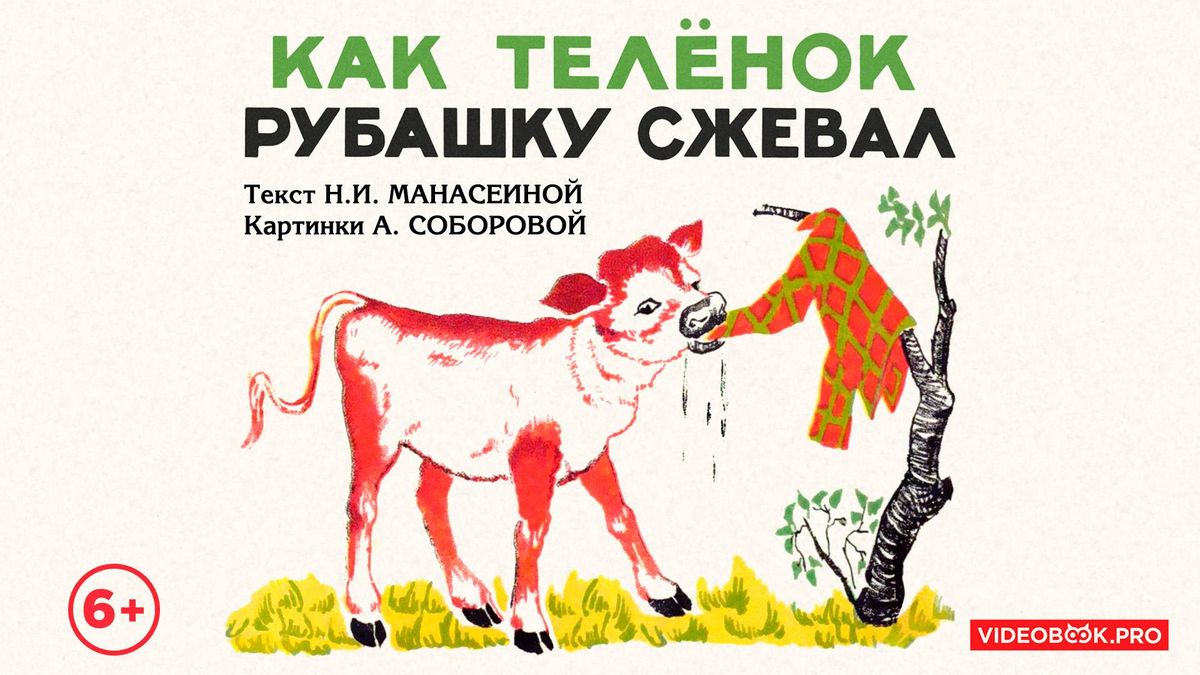 Как телёнок рубашку сжевал