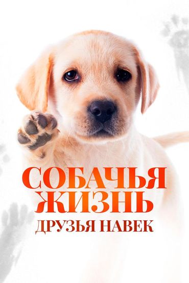 Собачья жизнь: Друзья навек