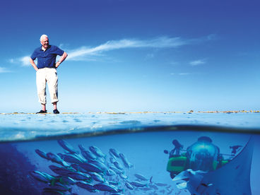 Большой барьерный риф с Дэвидом Аттенборо