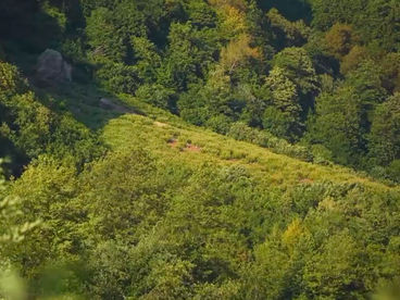 Ущелье реки Ненскра Ущелье реки Ненскра