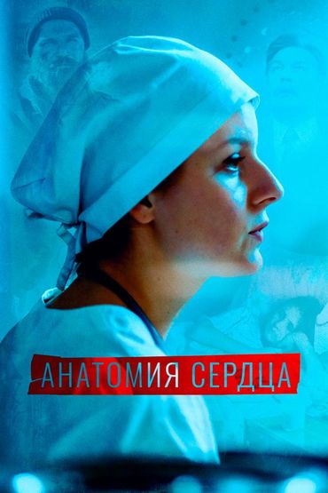 Анатомия сердца