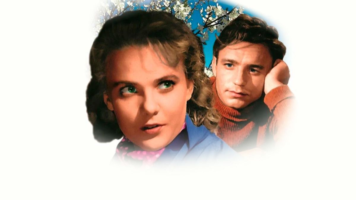 Весна на Заречной улице