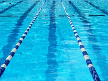 Чемпионат мира по водным видам спорта. 2025 Чемпионат мира по водным видам спорта. 2025