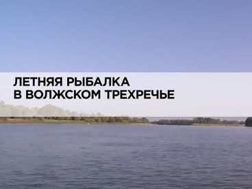Летняя рыбалка в волжском трехречье