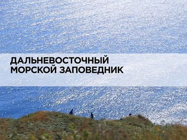 Дальневосточный морской заповедник Дальневосточный морской заповедник