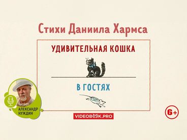 Удивительная кошка