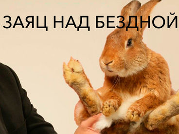 Заяц над бездной