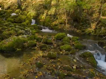 Река Нера Румыния