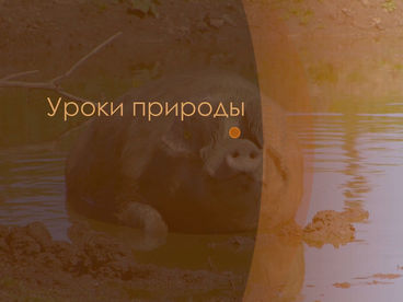 Уроки природы