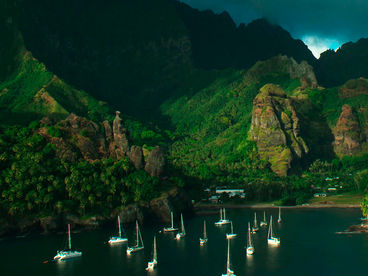 Дикая природа Маркизских островов Дикая природа Маркизских островов