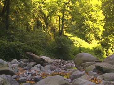 Река Шромисхеви Река Шромисхеви